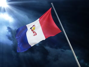 田径赛场焦点！巴西队对阵克罗地亚队，激战正酣，豪门对决再度上演